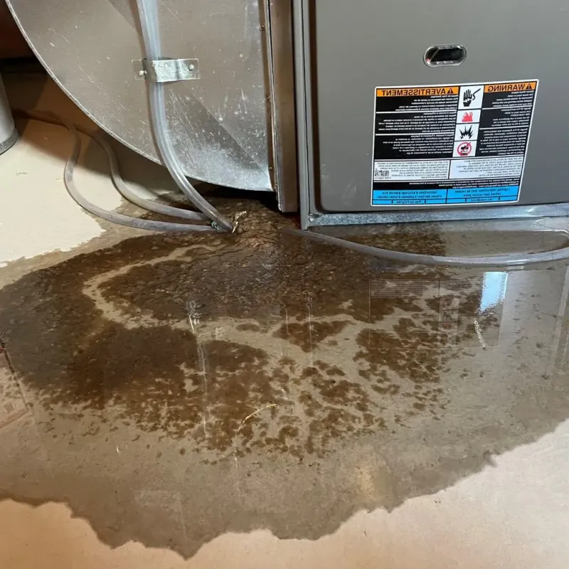 Pipe Burst and Leak Restoration in Hendersonville, NC