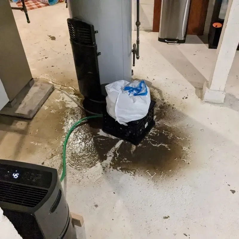Sewage Backup Cleanup Service in Hendersonville, NC